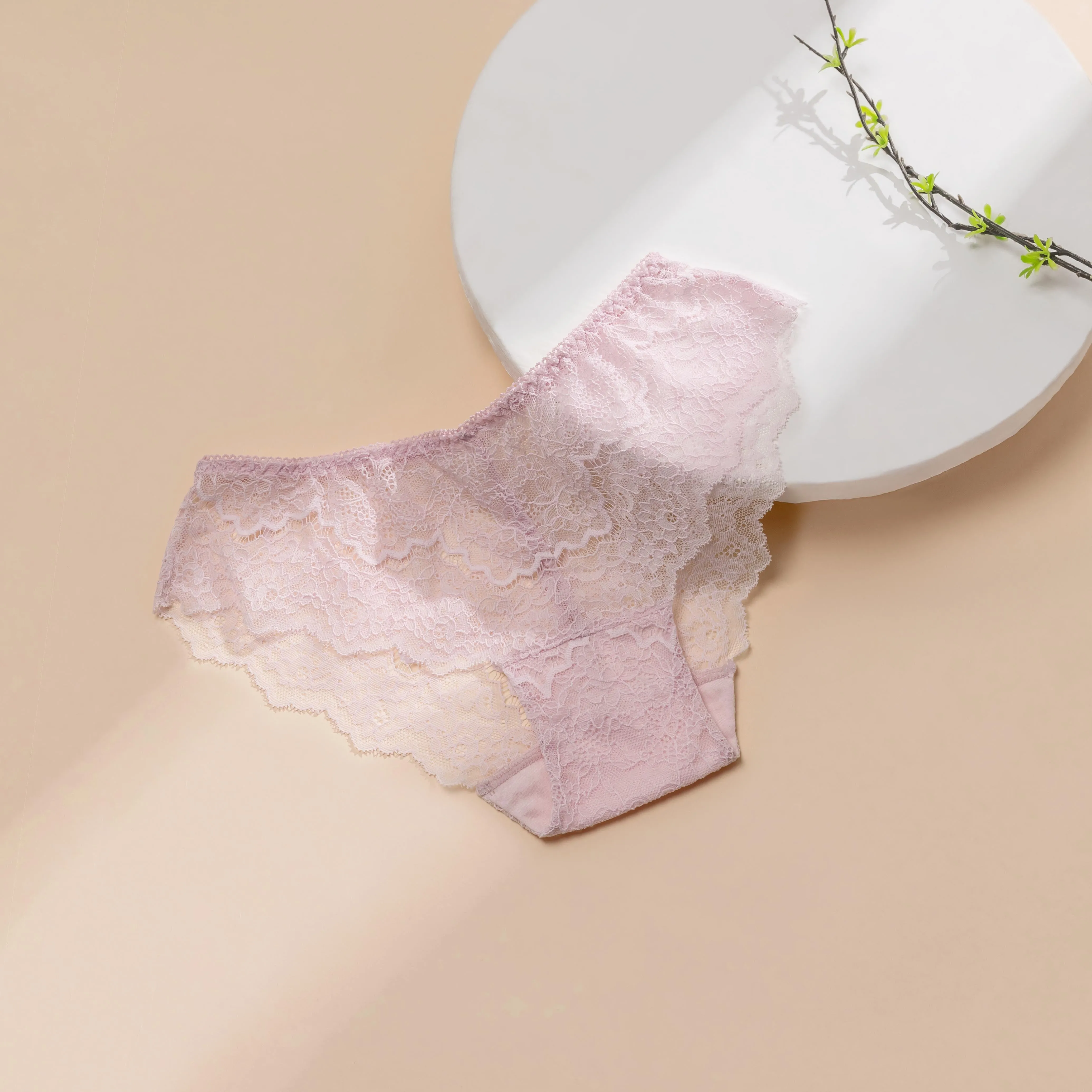 Dear Daisy Mini Lace Panty S24-081377