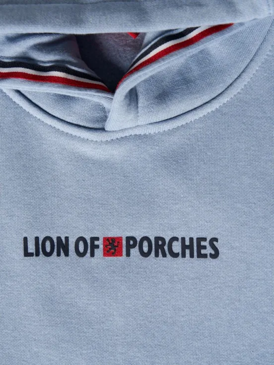 Lion of Porches Hooded Sweater